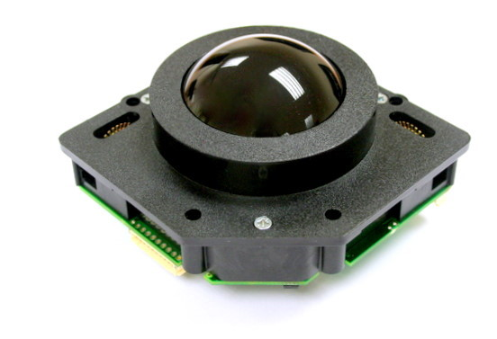 P60 Standard